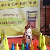 Alles für Bello, Fiffi und Co.