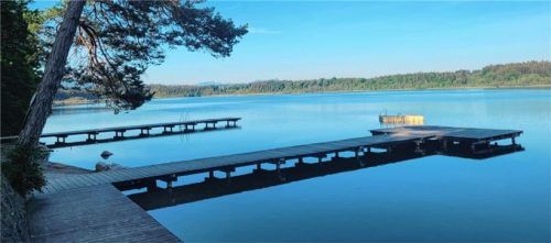 Im Februar sollten die Stege vier und fünf am Hartsee saniert werden. Der Gemeinderat stimmte der dringlichen Maßnahme zu, da im März die Brutzeit beginnt. Foto Kirchner
