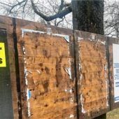 AfD-Wahlplakate immer mehr im Fokus?