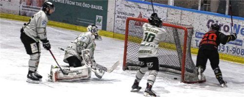 Jubel über den 1:0-Führungstreffer für die Aibdogs.Foto Stefan Hadersbeck