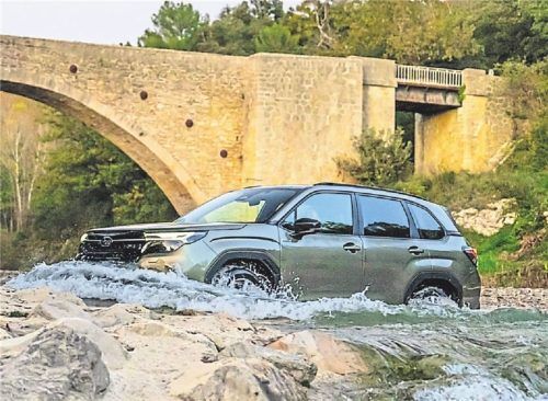 Nicht nur über Stock und Stein: Im Gelände kommt der überarbeitete Subaru Forester kaum einmal an seine Grenzen und auch auf asphaltierten Wegen erweist er sich als angenehmer Reisebegleiter. Foto Subaru