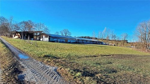 Östlich der geplanten Schreinerei in Fachendorf soll ein Bio-Masthähnchenstall gebaut werden. Da nicht alle erforderlichen Gutachten vorliegen, hat der Gemeinderat den Bauantrag vorerst abgelehnt.Foto emk