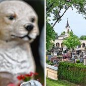 Anfragen für Tierfriedhof in Bad Aibling