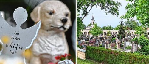 Über das Thema Tierbestattungen auf dem städtischen Friedhof (rechts) wurde im Stadtrat immer wieder diskutiert. Foto dpa/Hadersbeck