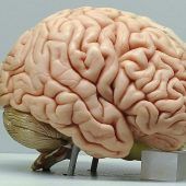 Wie man sich vor Mikroplastik schützt