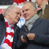 Stress mit den Silberrücken