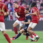 Palhinha: Pechvogel oder Problemfall?