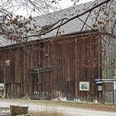 Streit ums „Fichtenpanama“