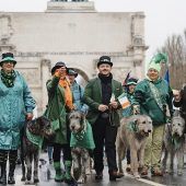 Hund sans scho, die Iren!