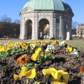 Die Stadt wird wieder bunt
