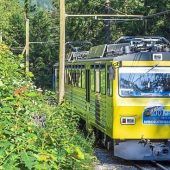 Freibier und freie Fahrt für alle Seppen