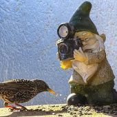 Ein Star vor der Linse