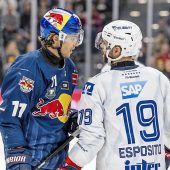 Bullen auf Playoff-Temperatur