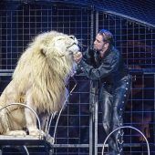 Circus-Chef Martin Lacey verrät, was Löwen lieben