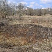 Stadtbrandmeister als Feuerteufel?