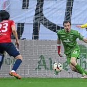 Anti-Schwabl-Proteste