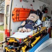 736 gerettete Kuscheltiere