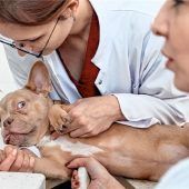 Mitarbeiter unter Druck gesetzt?