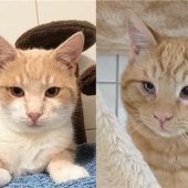 Caramelo und Camillo sind wie Pech und Schwefel