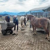 „Keiner will es, aber es passiert“