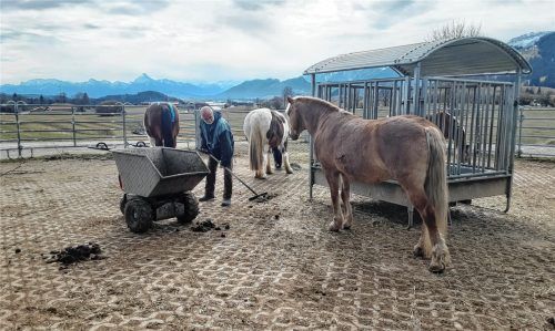 Den Hof der Familie zu erhalten und auch im Nebenerwerb rentabel zu bewirtschaften ist das Ziel von Wolfgang Wörz. Foto privat