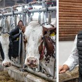 Steaks und Burger in der Preiskrise