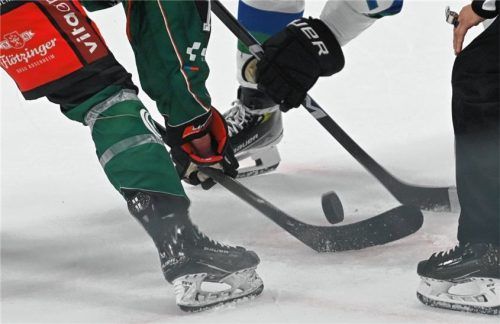 Die spannendste Zeit des Jahres steht im Eishockey bevor. Die OVB-Sportredaktion widmet sich den Play-offs im Podcast „Hart gecheckt“.Foto Hans-Jürgen Ziegler