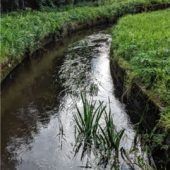 Ausgewählte Namen unserer Bäche und Flüsse