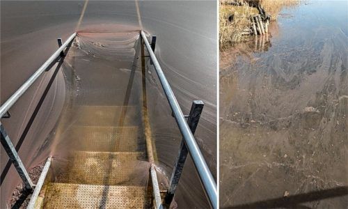 Echt unappetitlich: An einigen Stellen am Baierbacher Strand ist das Wasser des Simssees mit einem roten, schleimigen Teppich überzogen. Foto Büchele