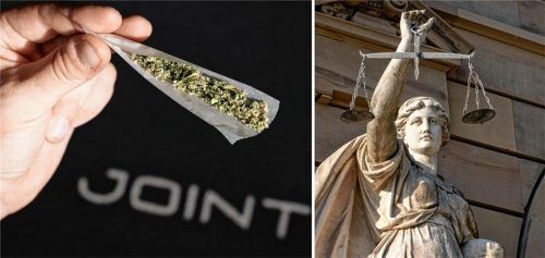 Ein 45-Jähriger aus dem nördlichen Landkreis Rosenheim baute mehr Cannabis an, als nach dem Gesetz erlaubt ist. (Symbolbild). Fotos dpa