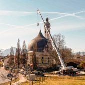 Spezialeinsatz an der Rundzwiebel