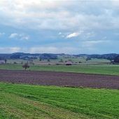 Grünes Licht für Solarpark