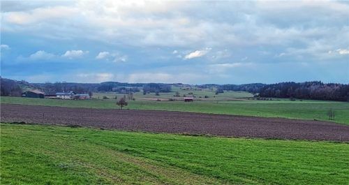 In Bach und Umgebung entsteht bald der erste Agri-Solarpark der Gemeinde. Foto stache