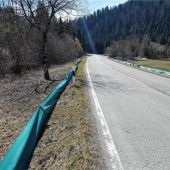 Amphibienwanderung beginnt