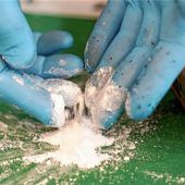 Mit 7,7 Kilogramm Kokain auf der A8