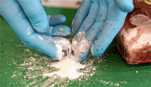 Sichergestelltes Kokain wird präsentiert (Symbolbild). Schleierfahnder konnten nahe Rosenheim im Mai 20247,7 Kilogramm des Rauschgifts bei einer Pkw-Kontrolle sicherstellen. Die Schmuggler erhielten nun ihre Strafe. Foto dpa