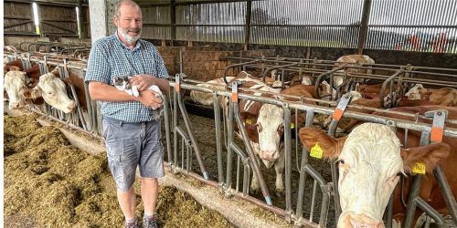 Ulrich Niederschweiberer ist seit 2012 Mühldorfs BVV-Kreisobmann und betreibt einen Milchviehbetrieb in Mühldorf/Mößling. Foto Christa Latta