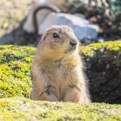 Baugrundgutachten schafft Klarheit