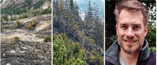 Zehn Hektar Almwiesen und Bergwald sind an der Heißenplatte bei Geitau verbrannt. Forstdirektor Korbinian Wolf hat die Flächen in Augenschein genommen, um den entstandenen Schaden einschätzen zu können.Fotos AELF Holzkirchen