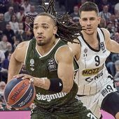 Paradiesvogel und Punktesammler