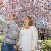 Hier kommt der Frühling