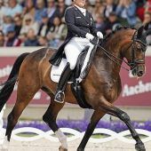 Werth in Basel nur Außenseiterin