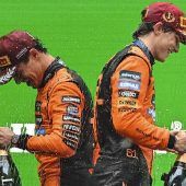 „Zwei Löwen im Käfig“