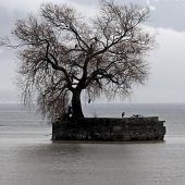 Kleine Insel vor Untergang bewahrt