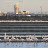 Flughafen beendet Albanien-Engagement