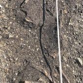 Sensationsfund aus der Jungsteinzeit