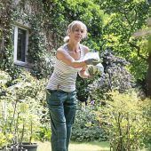 Schnecken im Wetterglück