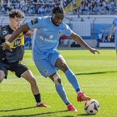 Ein Löwe will zum Afrika-Cup