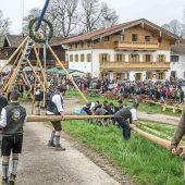Die Maibaumzeit eint das Dorf