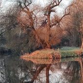 Faszinierender Blickfang